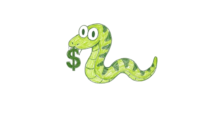 BSnake Logo